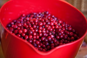 3924172128_8f968b07a7_b