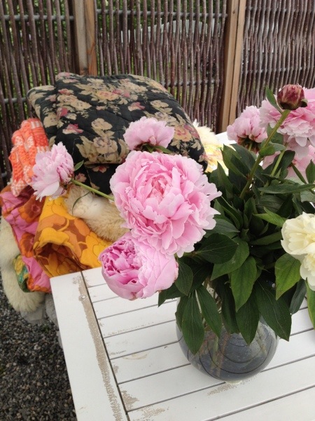 20130616-004840.jpg