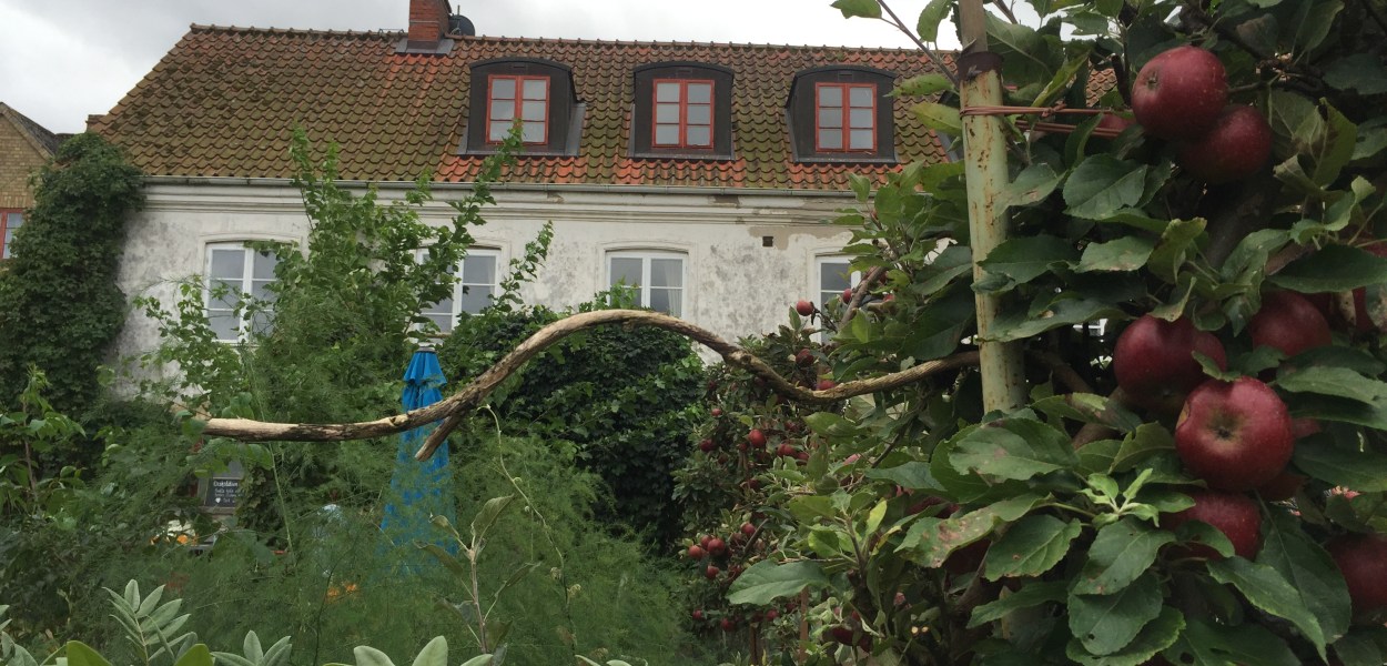 mandelmanns tragardar