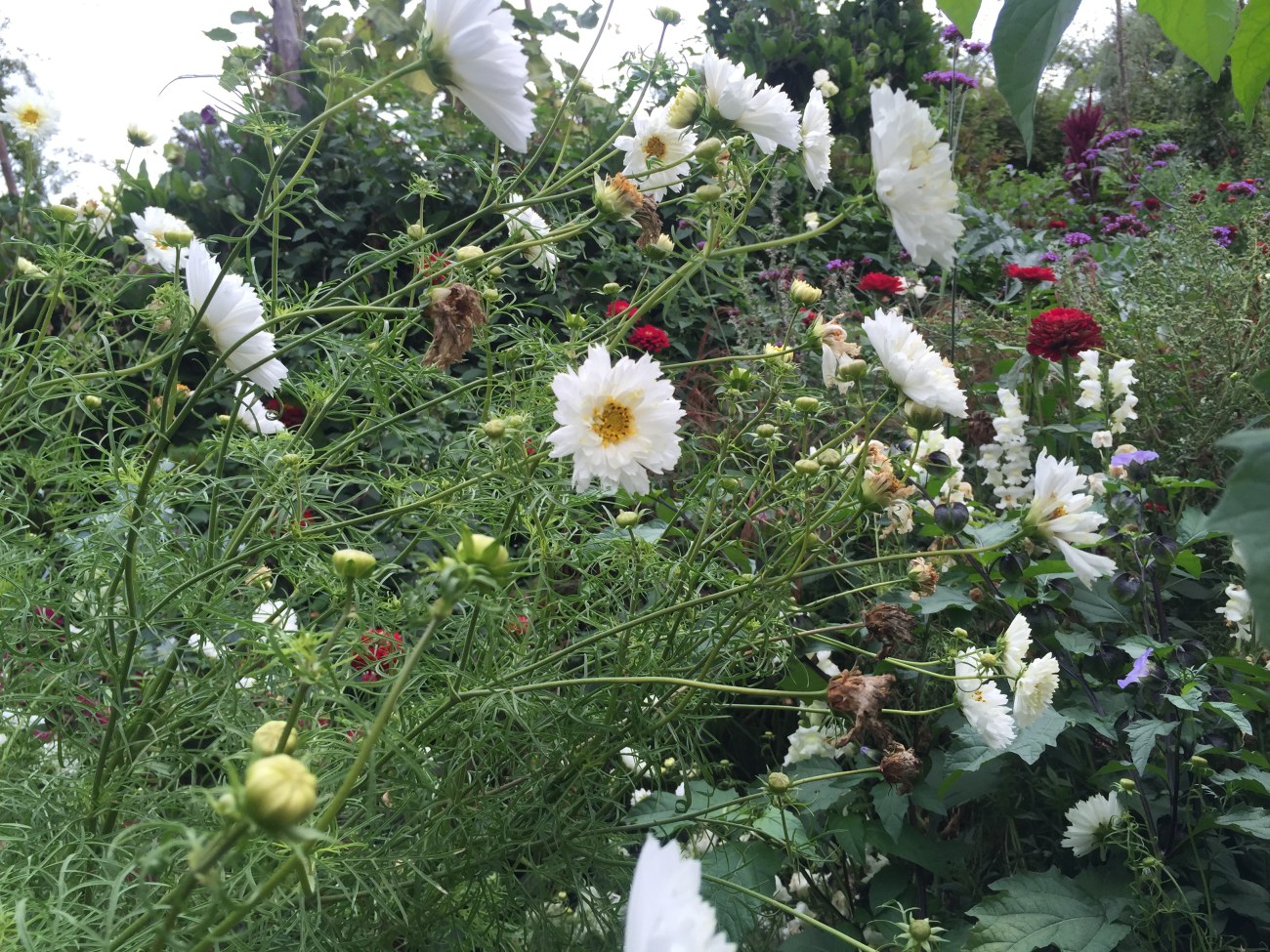2016-09-17-12-46-30