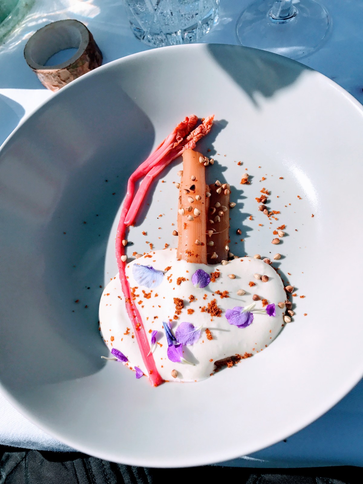 Rabarbradessert signert Filip Fastèn og Joel Åhlin fra restauranten Agrikultur,Grönskär Stockholms Skjærgård, Sverige